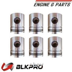 6 Engine Piston Kit For Cummins NT855 3048650 3804409 3801703 3095766 3095759