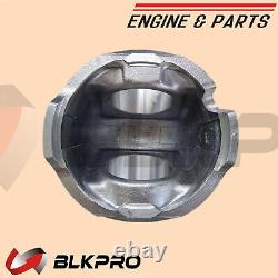 Engine Piston Kit For Cummins L10 3044448 3029010 3036669 3037820 3060559