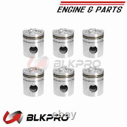 Engine Piston Kit For Cummins N855 NT 14L 3804336 3076809 3076811 3804338