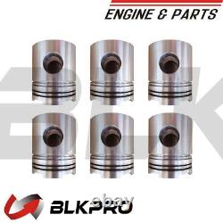 Engine Piston Kit For Cummins NT855 3048650 3804409 3801703 3095766 3095759