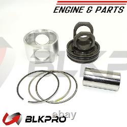 New Engine Piston Kit For Cummins Engine Parts M11 4025161 3081338 3803704